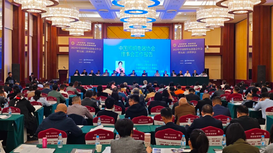 科技賦能 數(shù)智驅(qū)動(dòng) 立達(dá)信受邀中國(guó)照協(xié)年會(huì)